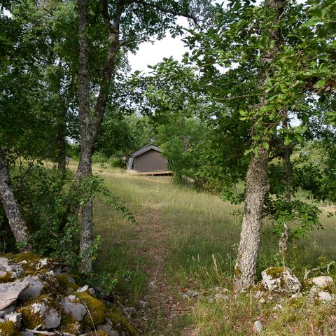 Camping Aux Lodges du Mas de Nadal - Camping Lot - Image N°5