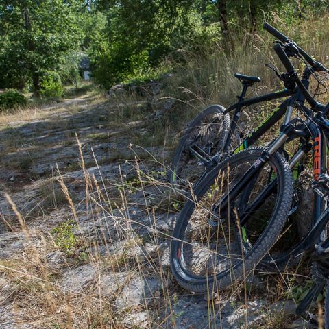 Camping Aux Lodges du Mas de Nadal - Camping Lot - Image N°4