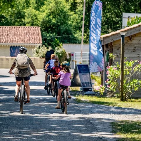 Flower Camping la Canadienne - Camping Gironde - Image N°3