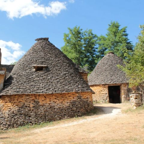 Camping La Grande Veyiere Camping La Grande Veyiere - Camping Dordogne - Image N°3