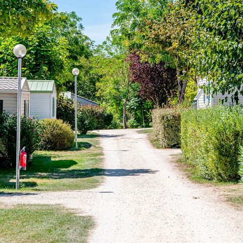 Flower Camping  Le Tiradou - Camping Dordogne - Image N°2