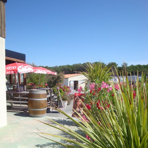 Camping Soleil D'or Camping Soleil D'or - Camping Gironde - Image N°2