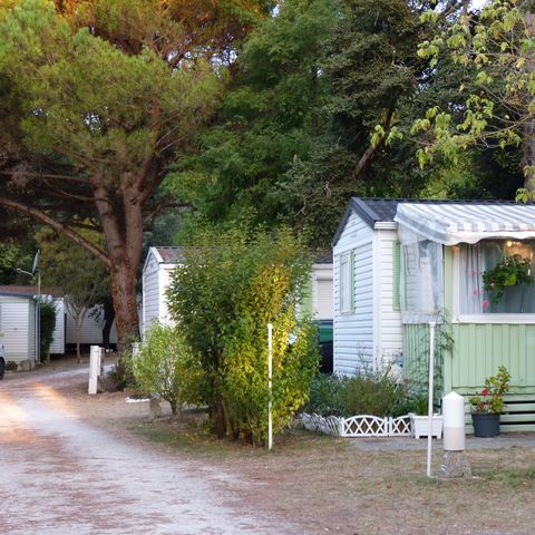 Camping Les Chênes Verts Camping Les Chênes Verts - Camping Charente-Maritime - Image N°3