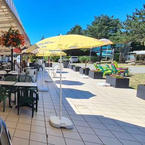 Camping Au Joyeux Faune - Camping Charente-Maritime - Image N°6