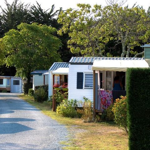 Camping Au Joyeux Faune - Camping Charente-Maritime - Image N°2