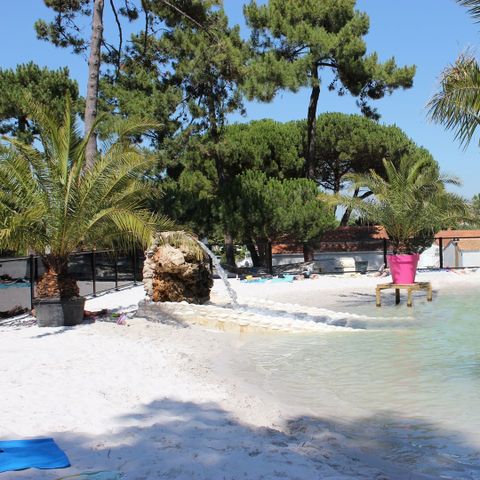 Camping Les Pins d'Oléron  Camping Les Pins d'Oléron  - Camping Charente-Maritime - Image N°6