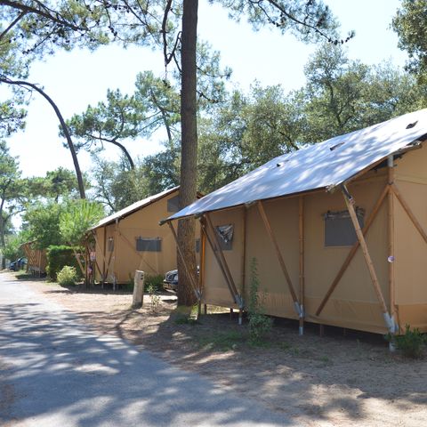 Camping Les Pins d'Oléron  Camping Les Pins d'Oléron  - Camping Charente-Maritime - Image N°5