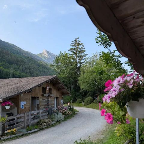 Camping Le Lachat - Camping Haute-Savoie - Image N°6