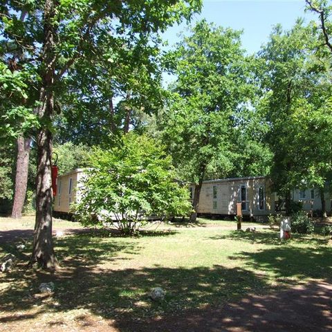 Camping Le Sous Bois - Camping Charente-Maritime - Image N°4