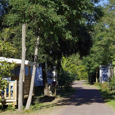 Camping Le Sous Bois - Camping Charente-Maritime - Image N°6