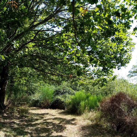 Camping La Perle - Camping Creuse - Image N°6