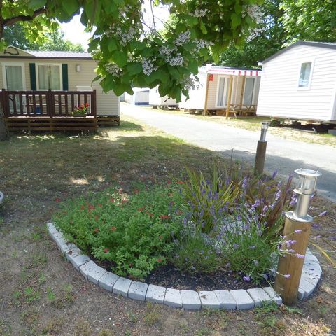 Camping Les Acacias - Camping Charente-Maritime - Image N°2