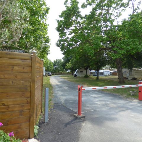 Camping Les Acacias - Camping Charente-Maritime - Image N°5