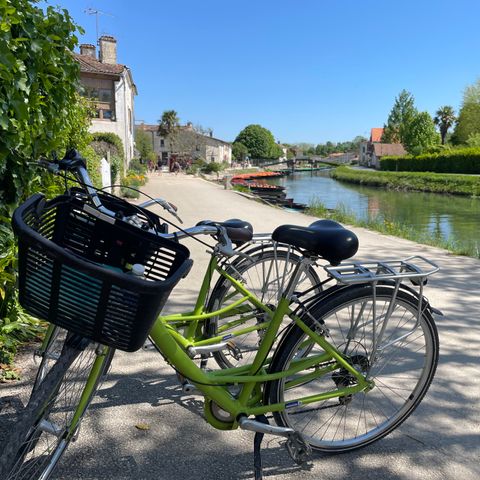 Camping la Venise Verte - Camping Deux-Sèvres - Image N°4