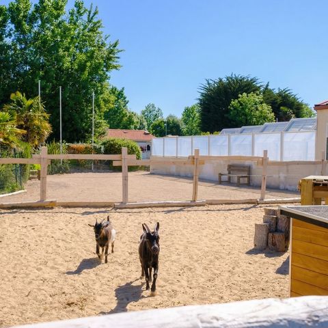 Camping Le Grand Pré - Camping Vendée - Image N°6