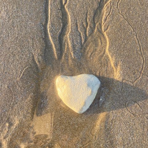 Camping L'r Pur - Camping Vendée - Image N°5