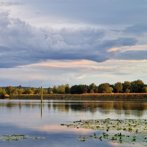 Camping Aux Rives du Soleil - Camping Ain - Image N°5