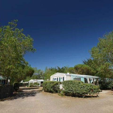 Camping La Grande Dune - Camping Vendée - Image N°6