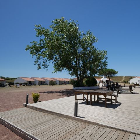Camping La Grande Dune - Camping Vendée - Image N°4