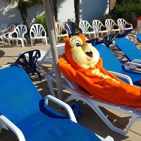 Camping Les Ecureuils - Camping Vendée - Image N°5