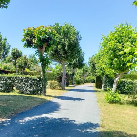 Camping La Buzelière - Camping Vendée - Image N°6