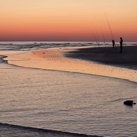 Camping Le Petit Bois - Camping Vendée - Image N°2