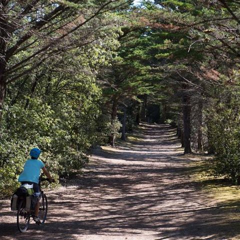 Camping Le Petit Bois - Camping Vendée - Image N°5