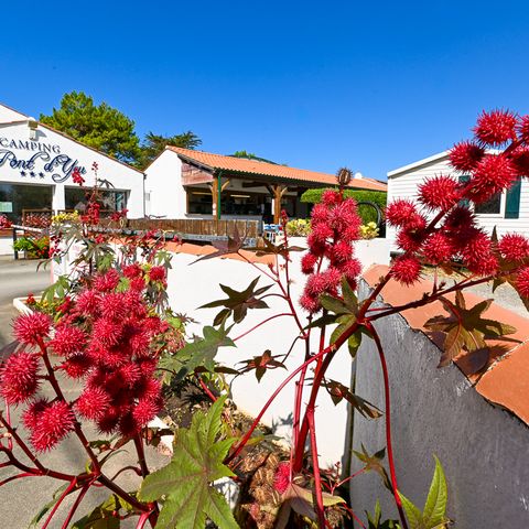 Camping Le Pont D'yeu - Camping Vendée