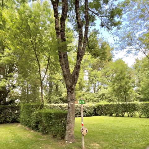 Camping Municipal La Petite Boulogne - Camping Vendée - Image N°4