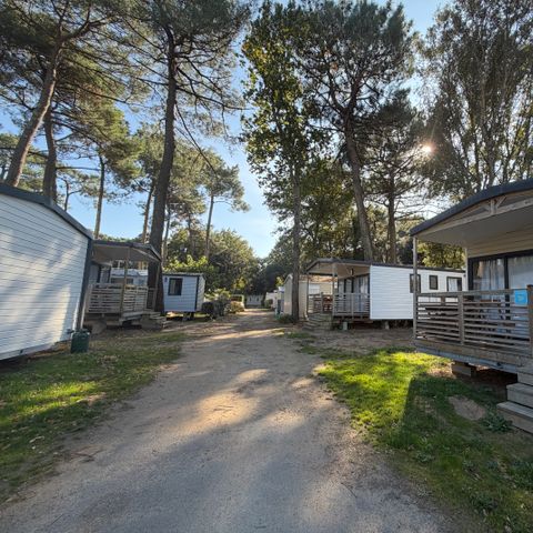 Camping Paradis - Les Rochelets  - Camping Loire-Atlantique - Image N°4