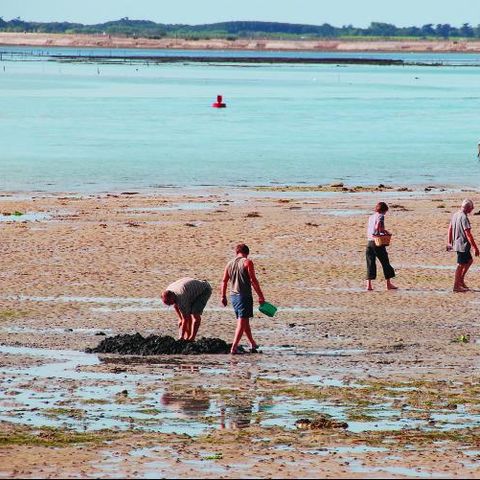 Camping La Falaise - Camping Loire-Atlantique - Image N°6