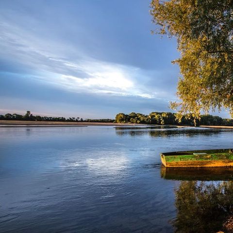 Camping Sites et Paysages - L'Etang de Brissac  Camping Sites et Paysages - L'Etang de Brissac  - Camping Maine-et-Loire - Image N°3