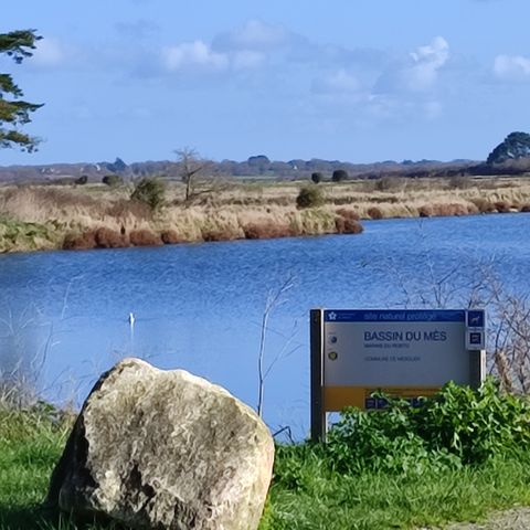 Camping le Beaupré - Camping Loire-Atlantique - Image N°3