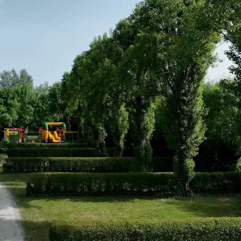 Flower Camping du Port Caroline - Camping Maine-et-Loire - Image N°6