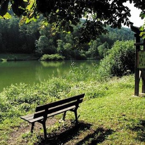 Camping les Lupins - Camping Haut-Rhin - Image N°3