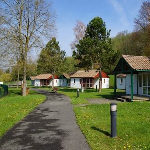 Camping les Lupins - Camping Haut-Rhin - Image N°6