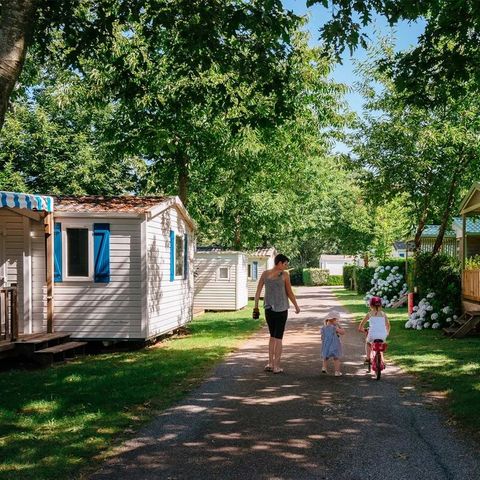 Flower Camping La Blanche Hermine Flower Camping La Blanche Hermine - Camping Morbihan - Image N°5