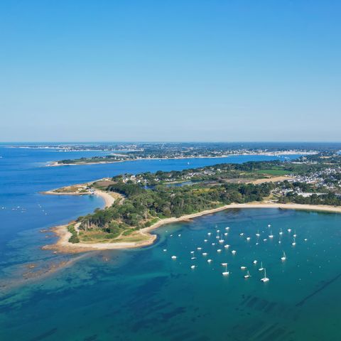 Camping Paradis - Les Palmiers - Camping Morbihan - Image N°5