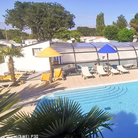 Camping Paradis - Les Palmiers - Camping Morbihan - Image N°3