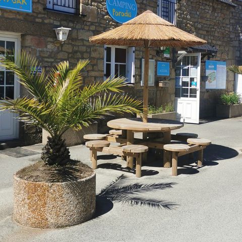 Camping Paradis - Les Palmiers - Camping Morbihan - Image N°6