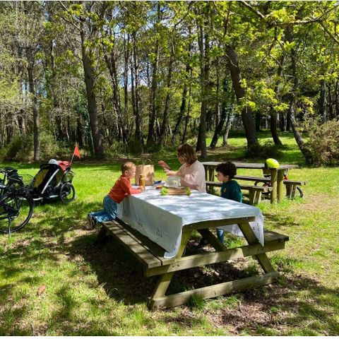 Camping Les Pirates de Carnac - Camping Morbihan - Image N°6