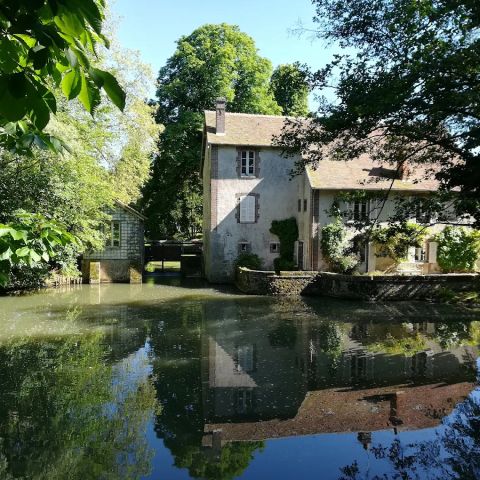 Camping des Lancières - Camping Yonne - Image N°6