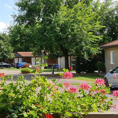 Camping le Florival - Camping Haut-Rhin - Image N°3