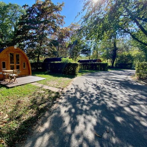 Camping le Florival - Camping Haut-Rhin - Image N°5