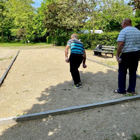 Camping le Florival - Camping Haut-Rhin - Image N°6