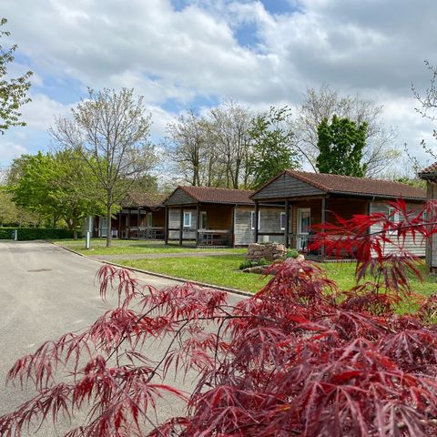 Camping le Florival - Camping Haut-Rhin - Image N°2