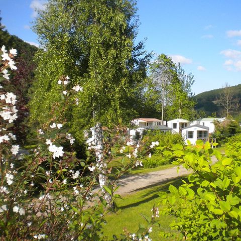 Flower camping Les Reflets Du Val D'argent Flower camping Les Reflets Du Val D'argent - Camping Haut-Rhin - Image N°3