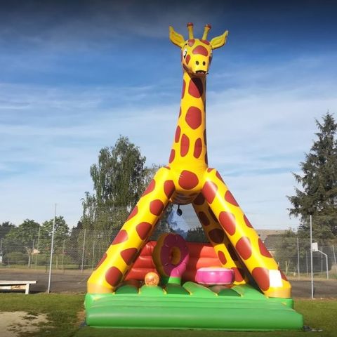 Camping Domaine Les Peupliers Camping Domaine Les Peupliers - Camping Ille-et-Vilaine - Image N°3