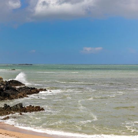 Flower Camping Le Vieux Moulin - Camping Côtes-d'Armor - Image N°3