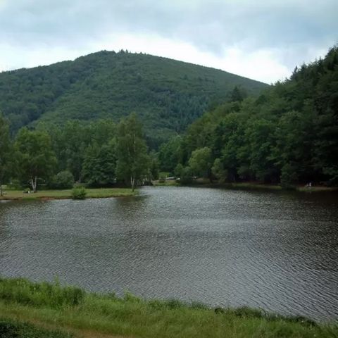 Camping Ramstein Plage - Camping Moselle - Image N°6